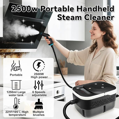 Steam Cleaner for Home, 2500W Portable Handheld Steamer for Cleaning, Large - Image 3