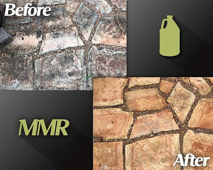 Bad Axe MMR Instant Mold Stain and Mildew Stain Remover - Image 8