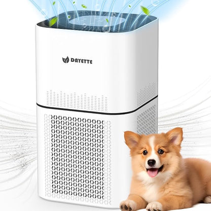 HEPA 14 Air Purifiers for Home Large Room Up to 2200ft², DAYETTE Air Purifiers by Dayette