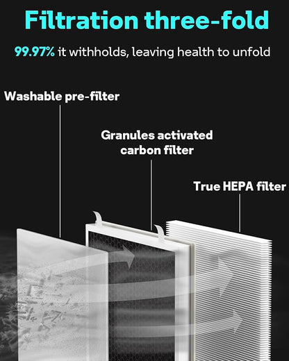 Leemone Vital 100 Replacement Filter Compatible - Image 2