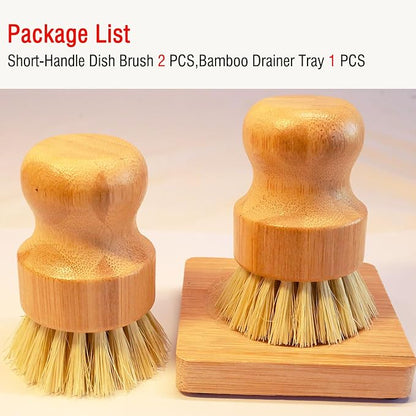 Bamboo Palm Dish Brush Set, Natural Bristle Dish Brush - Image 7