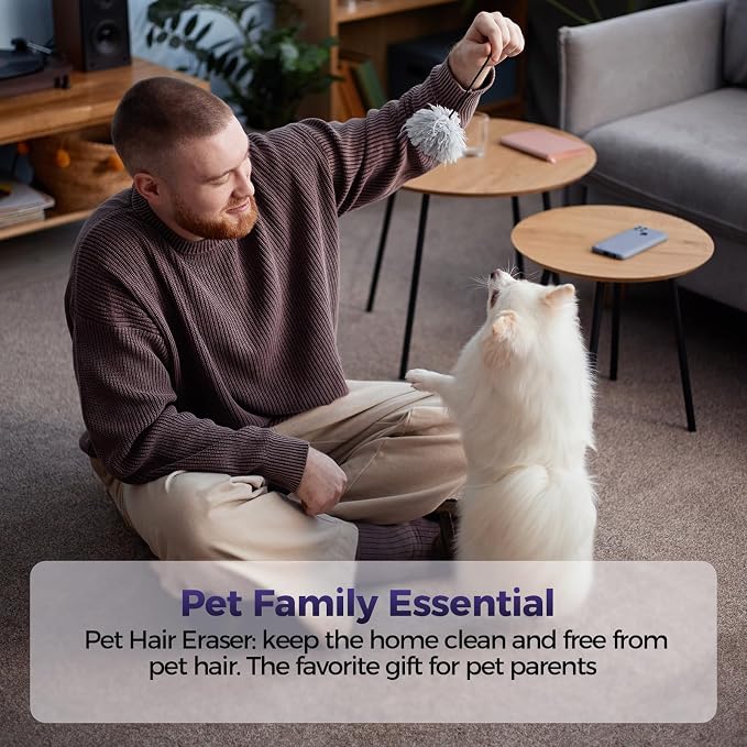 Pet Hair Handheld Vacuum Cordless: 20000PA High Power Car Vacuum - Image 8