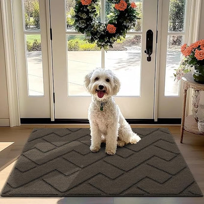 hicorfe Front Door Mat Outside Entrance, Stain and Fade Resistant, Non Slip by Hicorfe