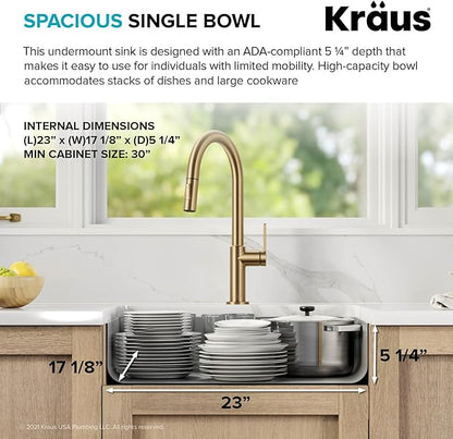 KRAUS Dex 25-inch Undermount 16 Gauge Stainless Steel Single Bowl ADA Kitchen Sink, KA1AS25B