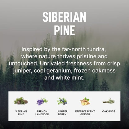 Laundry Sauce - Signature Bundle Siberain Pine, Scented Laundry Detergent Pods - Image 6