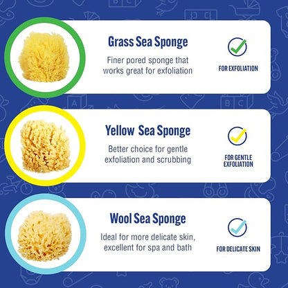 Baby Buddy Baby Bath 4in Yellow Sea Sponge, Absorbent Natural Sea Sponge - Image 5