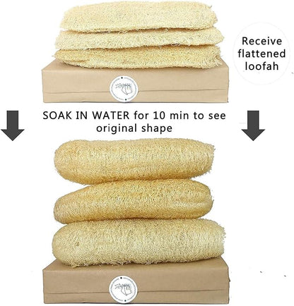 Natural Whole Loofah Sponge - Image 2