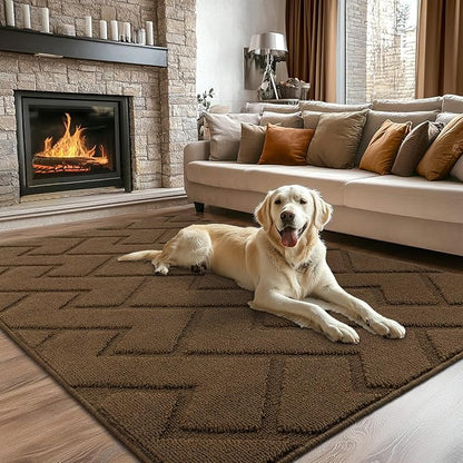 hicorfe Indoor Doormat, Front Back Door Mat Rubber Backing Non Slip Door Mats by Hicorfe