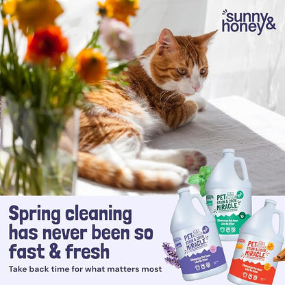 Sunny & Honey Pet Stain & Odor Miracle - Image 9