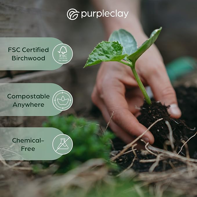 PURPLECLAY Wooden Disposable Forks FSC Certified Wood Compostable Forks - Image 5