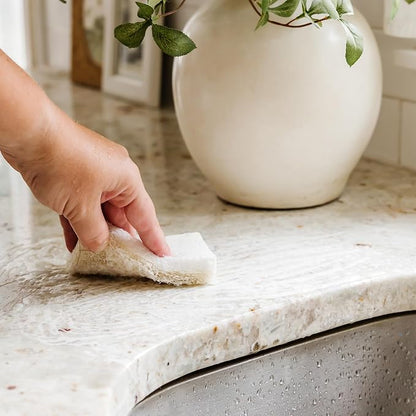 Full Circle Coconut Scrubber Sponges, Plant-Based Sponges Made - Image 5