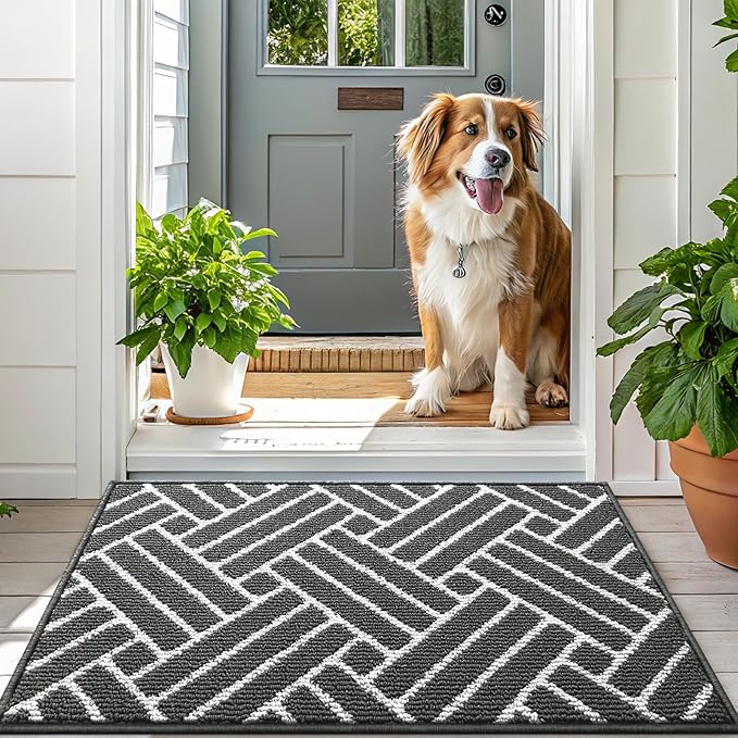 OLANLY Indoor Door Mat, 32x20 Inch, Dirt Resistant and Absorbent, Non-Slip Rubber Backing Floor Mats, Easy Clean Low-Profile Doormat for Entryway, Front Door, and Inside Entrance, Charcoal