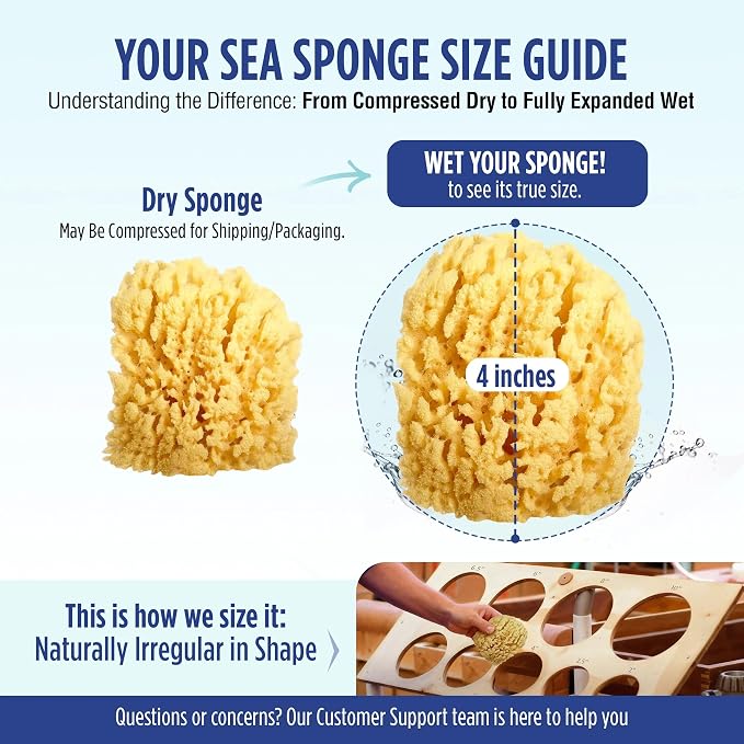Baby Buddy Baby Bath 4in Assorted Sea Sponges, Absorbent Natural Sea Sponge - Image 6