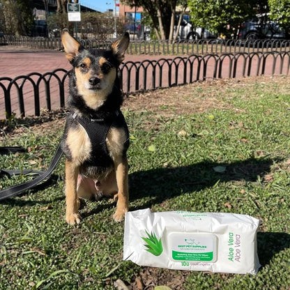 Best Pet Supplies Pet Wipes for Dogs - Image 6