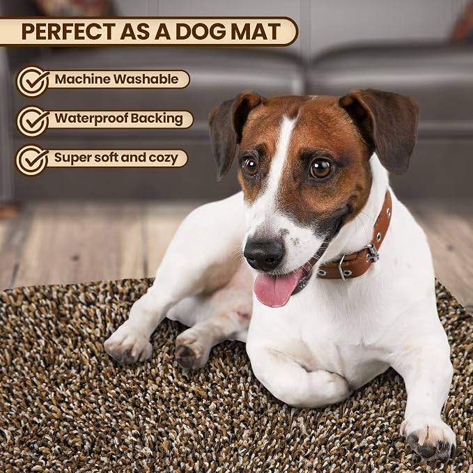 Premium Microfiber Indoor Door Mat – 20"x30" Washable Entry Mat, Waterproof - Image 6