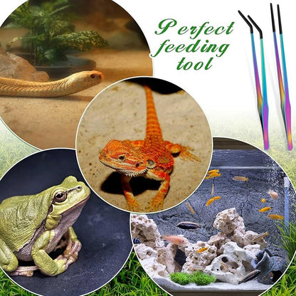 Lasnten 2 Pcs Extra Long Stainless Steel Reptile Feeding Tongs - Image 6