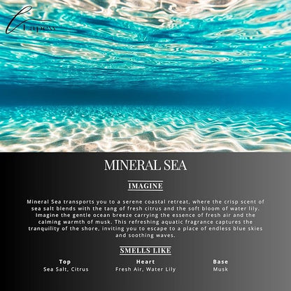 Mineral Sea Carpet Freshener Powder Refill 36 oz | Powerful Odor Eliminator - Image 2