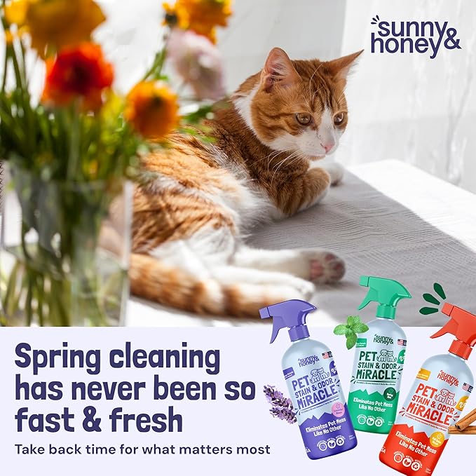 Sunny & Honey Pet Stain & Odor Miracle - 32 Fl Oz, Light Lavender Scent - Carpet Stain Remover & Urine Odor Eliminator - Upholstery Cleaner Spray - Enzyme Formula for Upholstery, Couch & Mattress