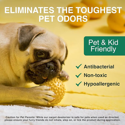 Good Natured Brand | Carpet Deodorizer & Freshener Powder | 47 oz Pet Odor - Image 3