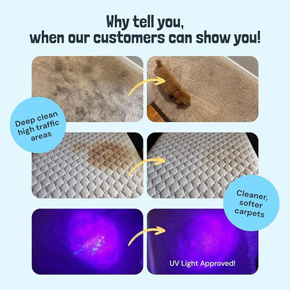 Sunny & Honey Carpet Cleaner Solution - Image 2