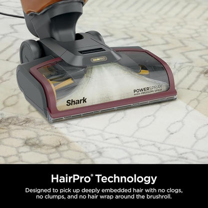 Shark CarpetXpert HairPro Upright Carpet Cleaner, Lightweight & Powerful - Image 3