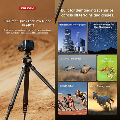 FALCAM TreeRoot Carbon Fiber Medium Tripod, 4-Section Legs, 50kg Vertical Load, 30mm Large Diameter, Quick Lock Tripod Only-T00A4901