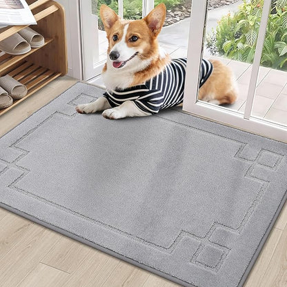 BEQHAUSE Door Mat 24" x 36", Non-Slip Door Mats Indoor Entryway Rugs Washable by BEQHAUSE