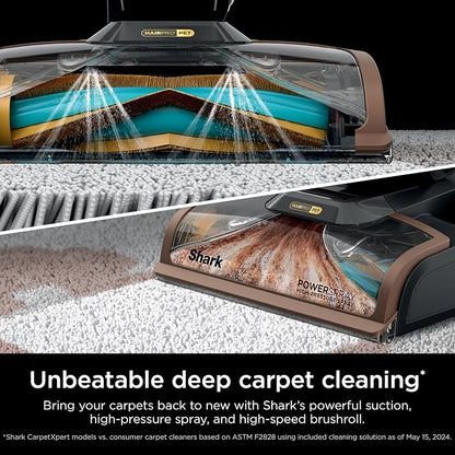 Shark CarpetXpert HairPro with StainStriker, Upright Carpet, Area Rug & - Image 3