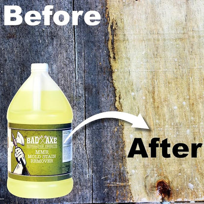 Bad Axe MMR Instant Mold Stain and Mildew Stain Remover - Image 10