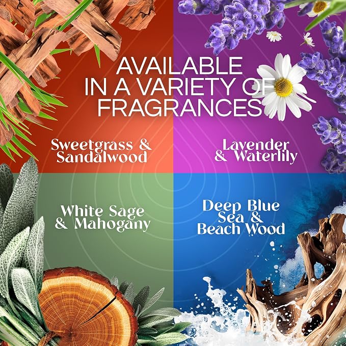 Air Wick Plug In Scented Oil Refills, Eucalyptus + Berries, Air Fresheners - Image 5