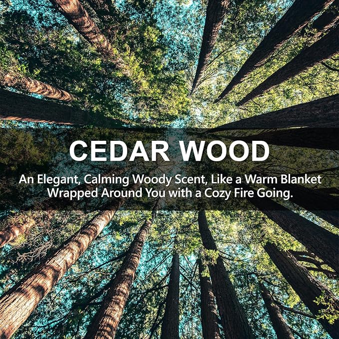 ROSE COTTAGE Large 12 Packs Cedar Wood Hanging Closet Deodorizer Air Freshener - Image 5