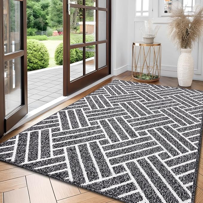 OLANLY Large Indoor Door Mat, 59x35 Inch, Dirt Resistant and Absorbent by OLANLY